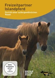 Freizeitpartner islandpferd - freizeitpartner,