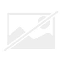 Island rausch der - im,